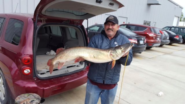 Sea Wall muskie